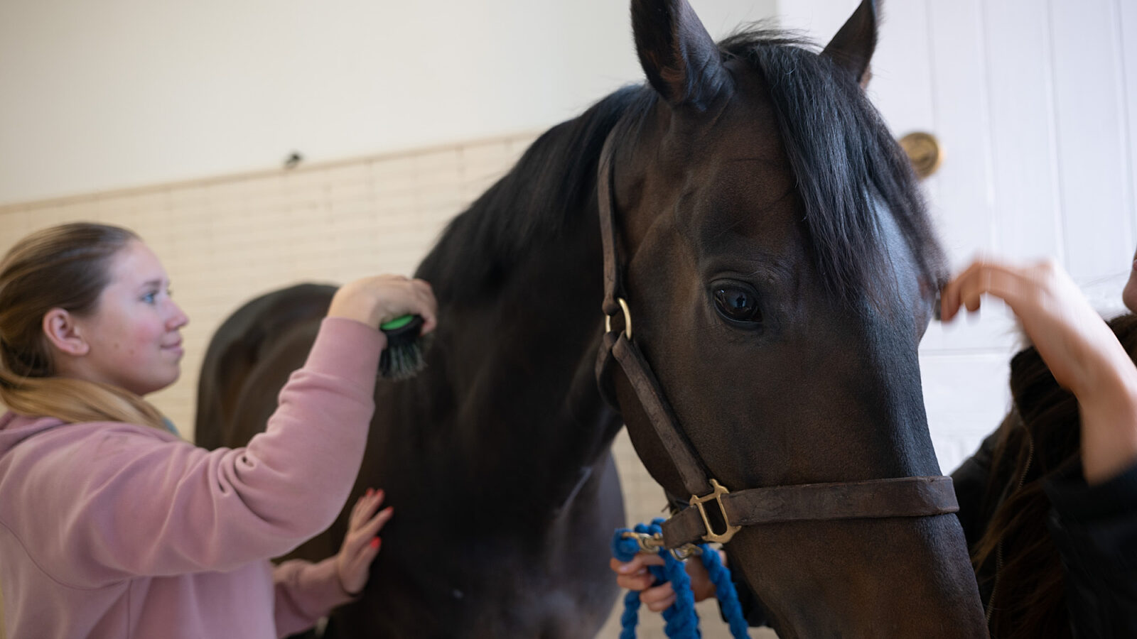 National Horse Racing Museum