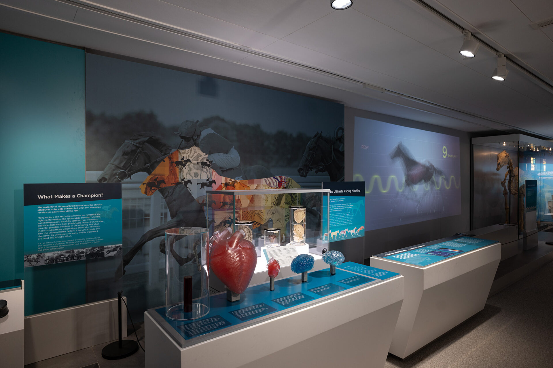 Horseracing Museum