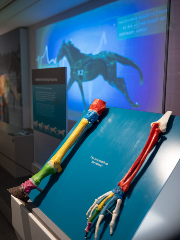 National Horse Racing Museum