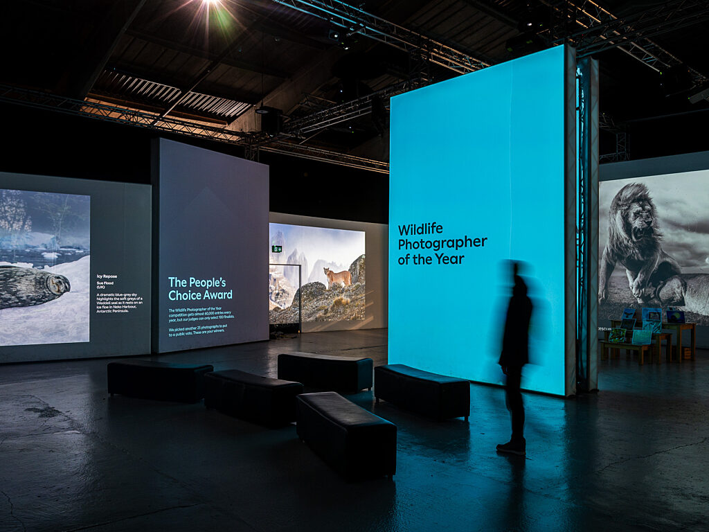 Chester Zoo Exhibition Design