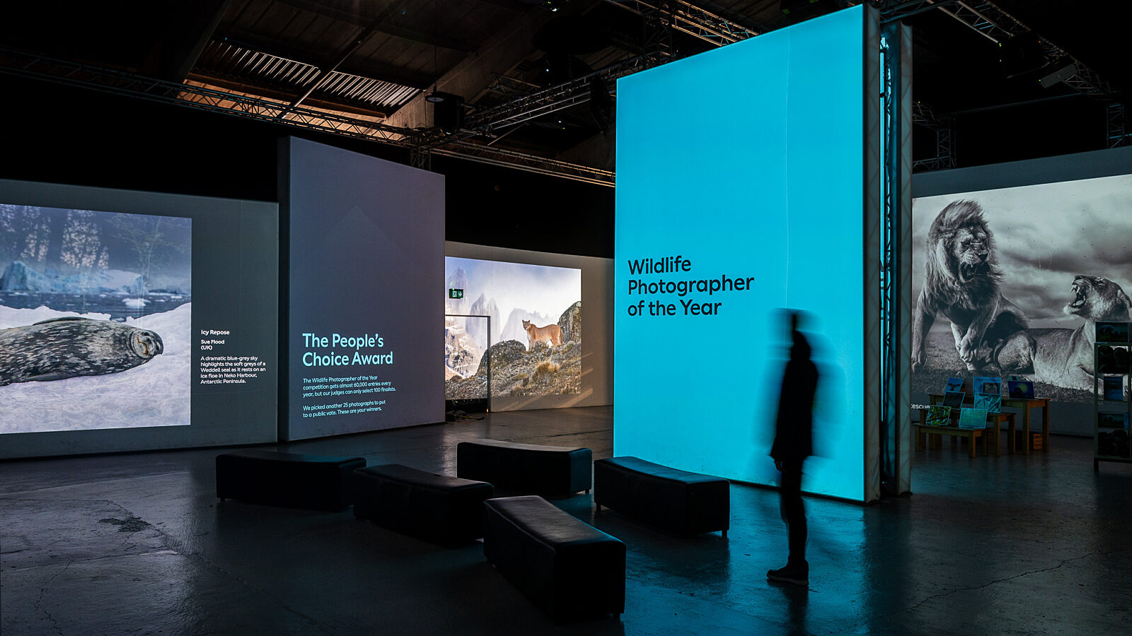 Chester Zoo Exhibition Design