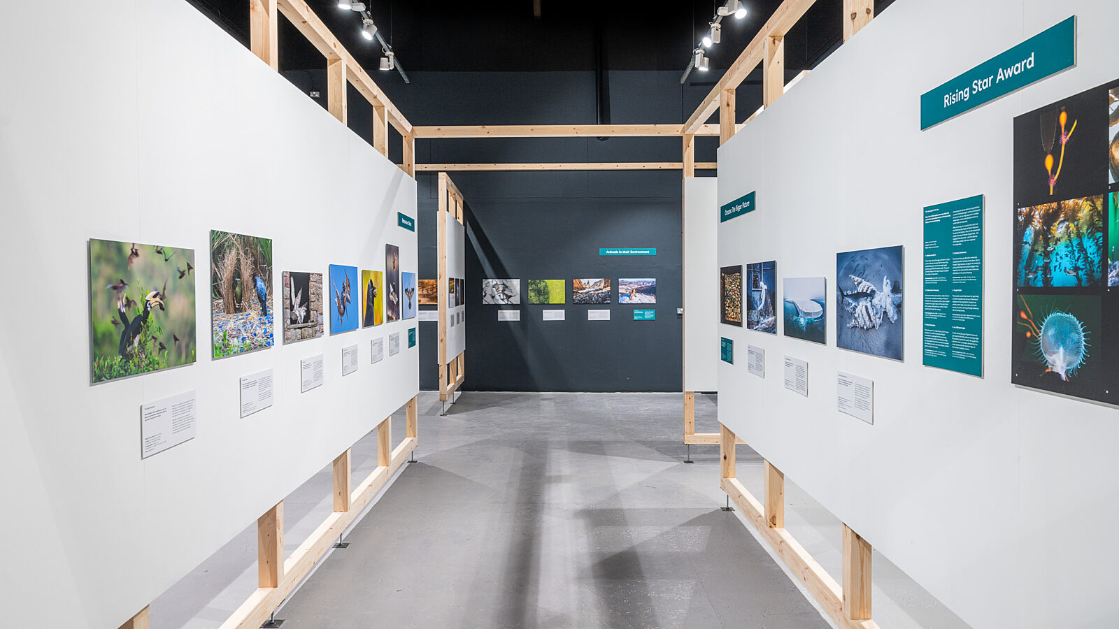 Chester Zoo Exhibition Design