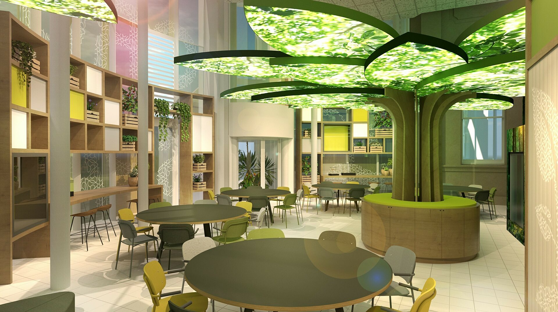 Sunderland Museum New Museum Plans