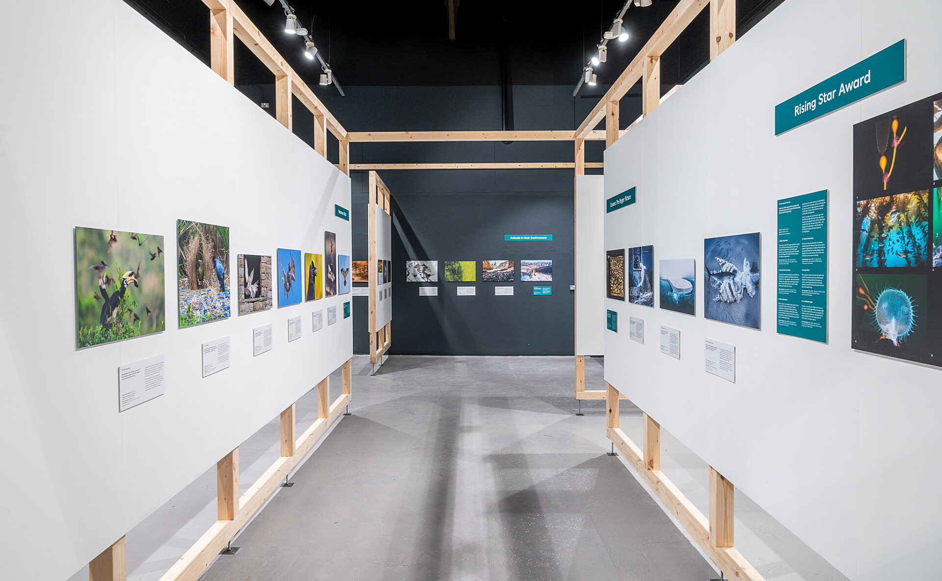 Chester Zoo Exhibition design