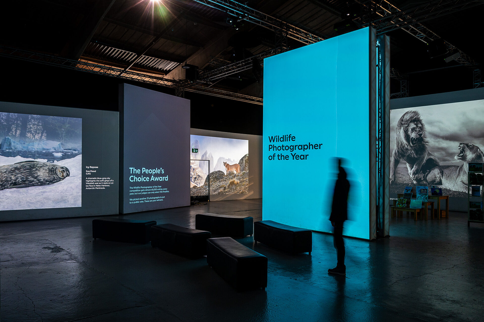 Chester Zoo Exhibition Design