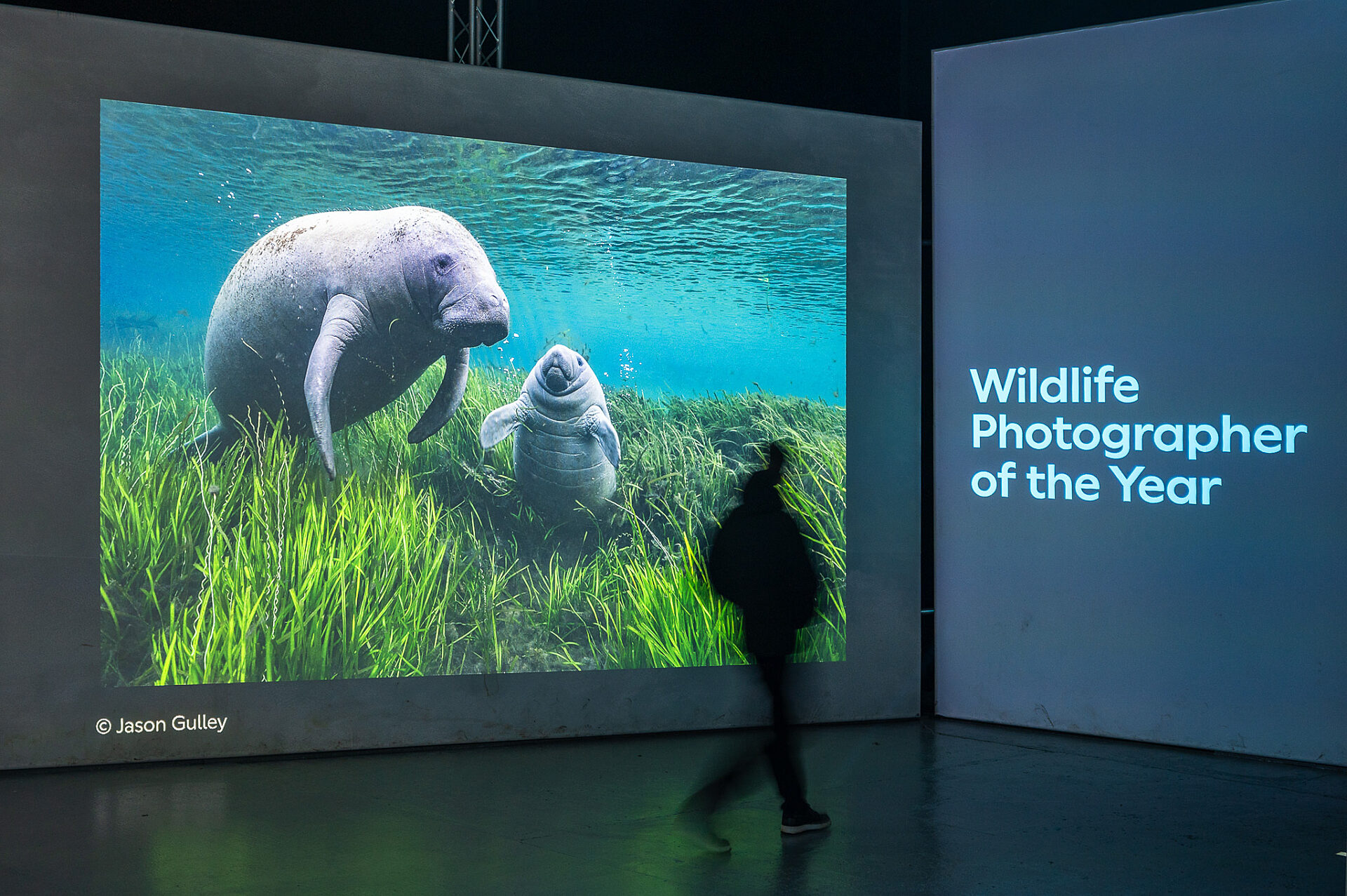 Chester Zoo Exhibition Design