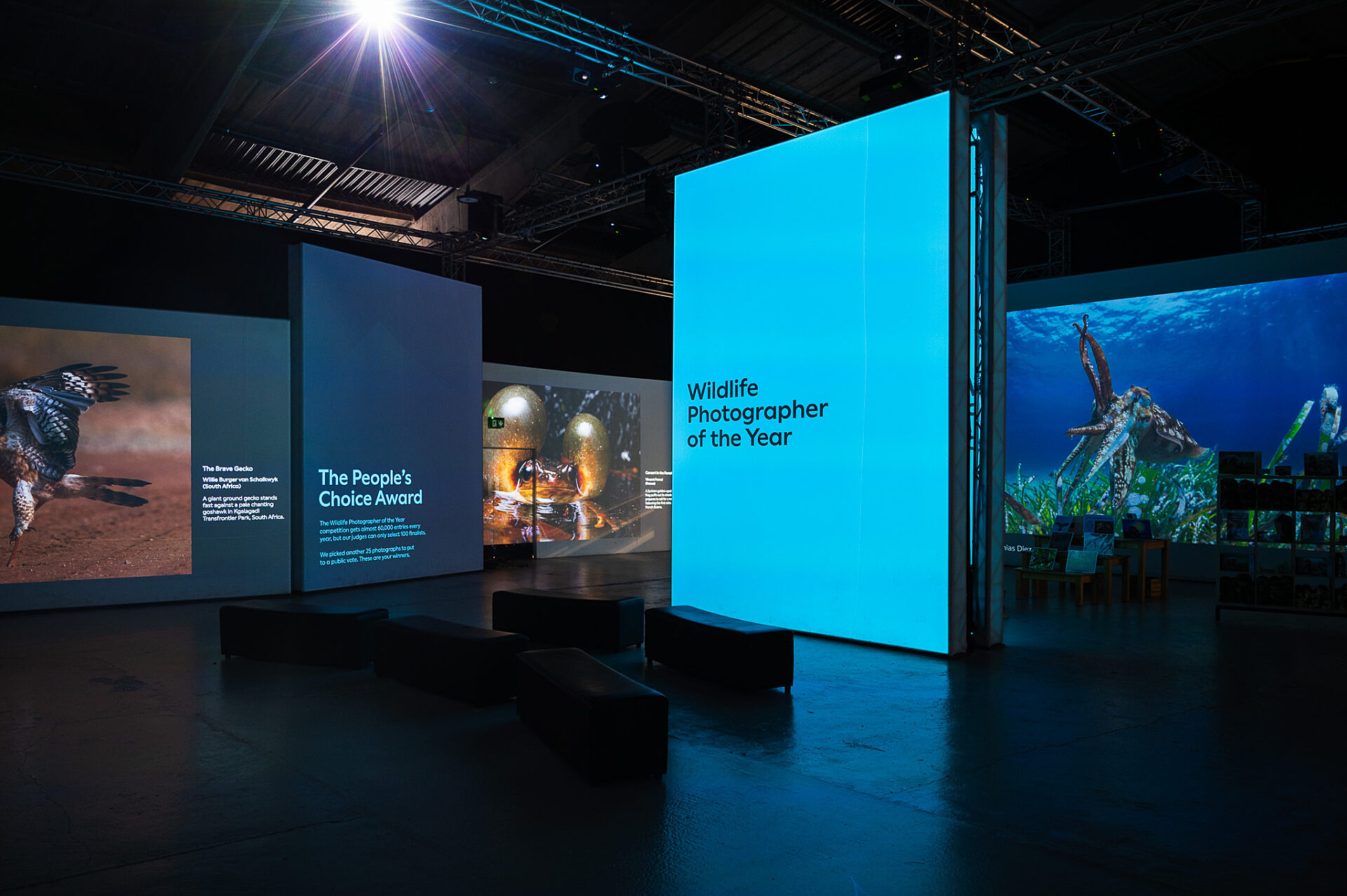 Chester Zoo Exhibition Design